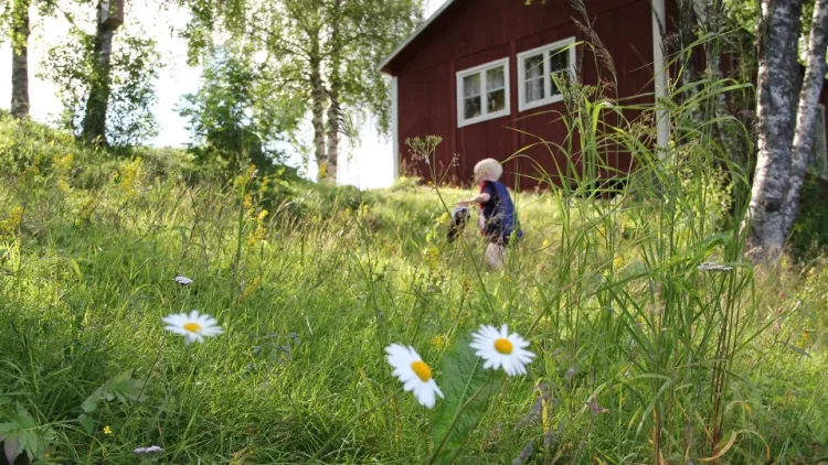 jokkmokk-childcare-childflowers.jpg