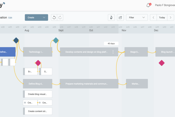 A graphical project timeline of a blog creation project containing phases, activities and milestones