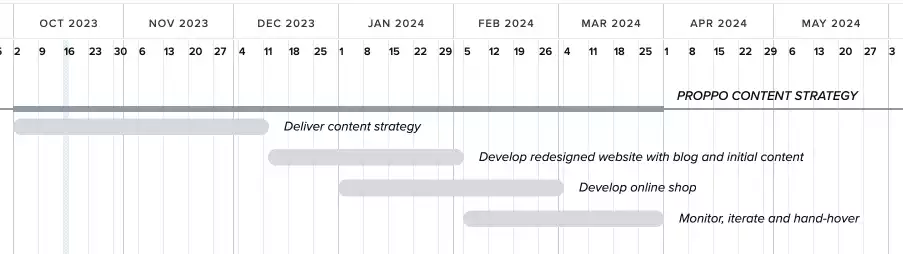 Initial compact project plan in TeamGantt