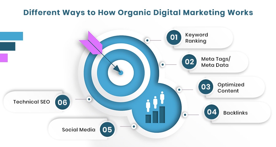 Organic Marketing Includes