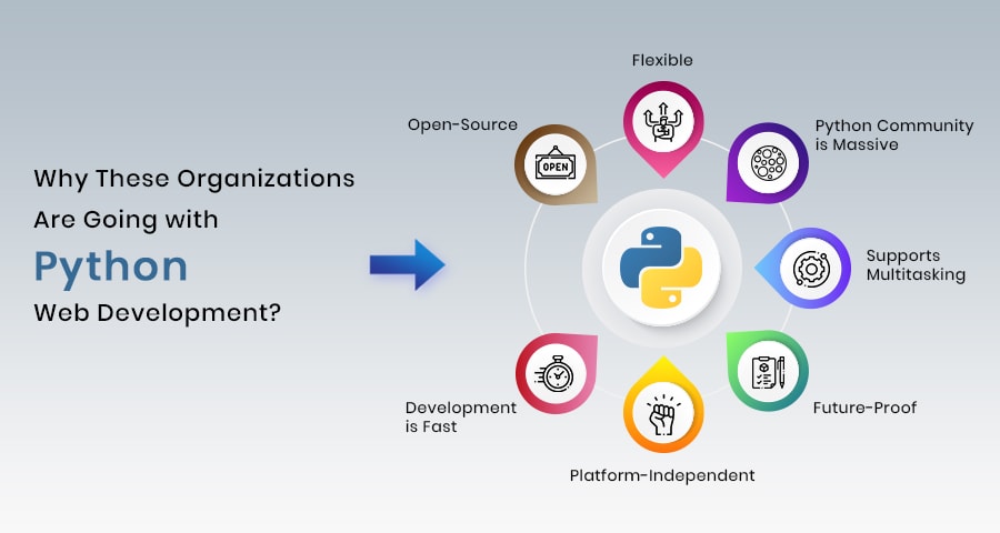 Why Organizations Are Going with Python Web Development?