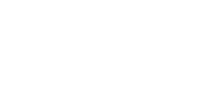 Put a good description of the photo here