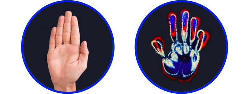 Image of a hand and a hand thermal scan