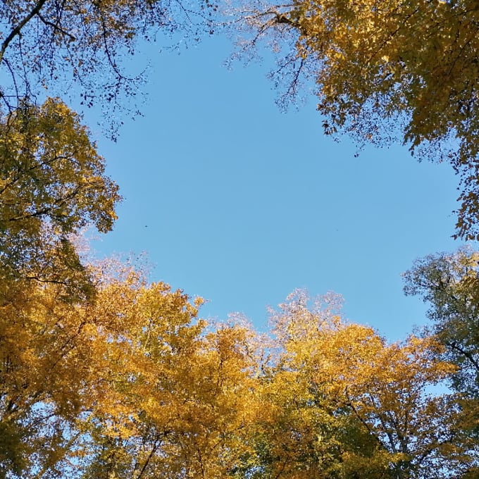 "If you don't know where to start on your journey to manifestation - start with Quantum Jumping"