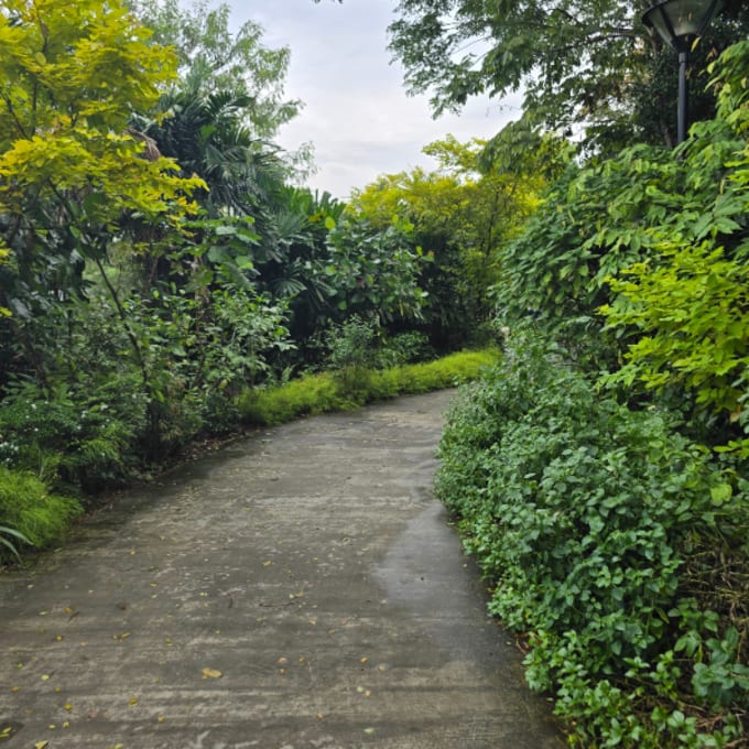 "After going through this quest, something in me has changed. I feel much calmer, and the practices have had a positive impact on me"