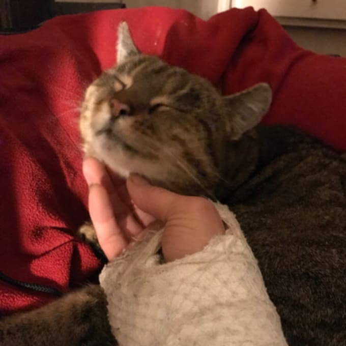 “The challenge helped me see the childhood wound that made me fear success—and take my first step toward receiving again”