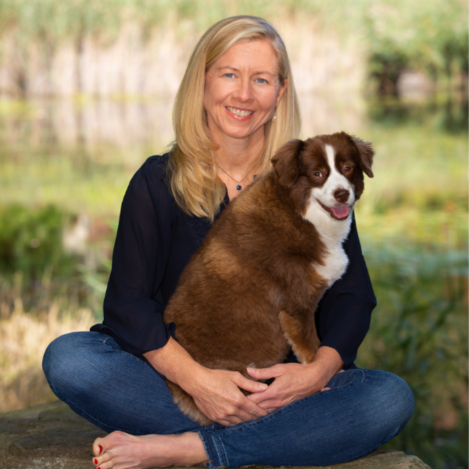 “I reduced hours of manual spreadsheet work to minutes by integrating AI into my veterinary hospitals”