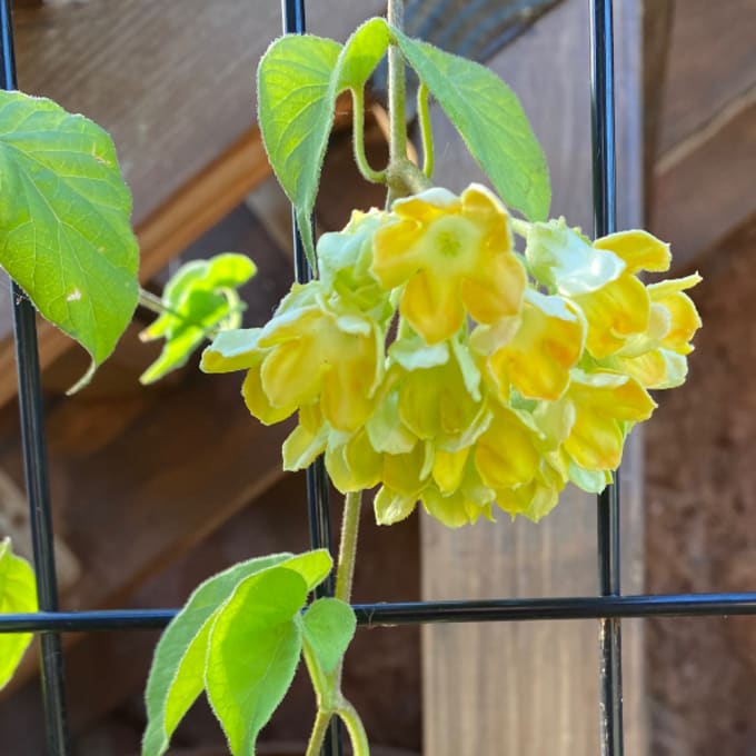 "It is a very good fit for someone who is uncertain as to what they want to do or where they want to be in life"