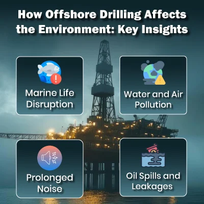 How Offshore Drilling Affects the Environment: Key Insights