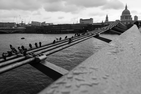 Image from Urban Landscape album