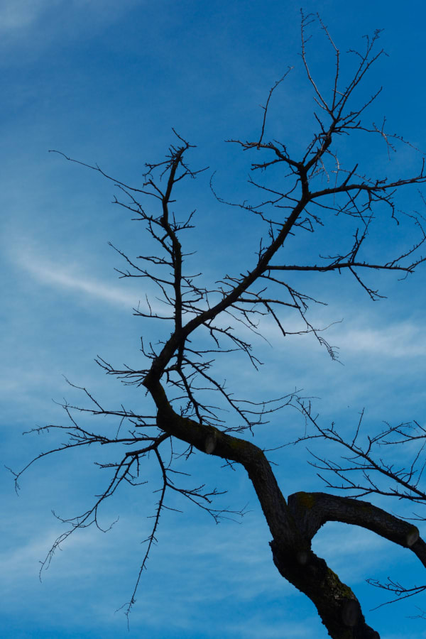 Image from Abstract album