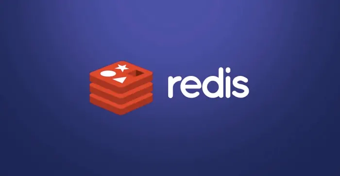 Redis, founded in 2011, is an open source database utilized by millions of users as both a database and cache.