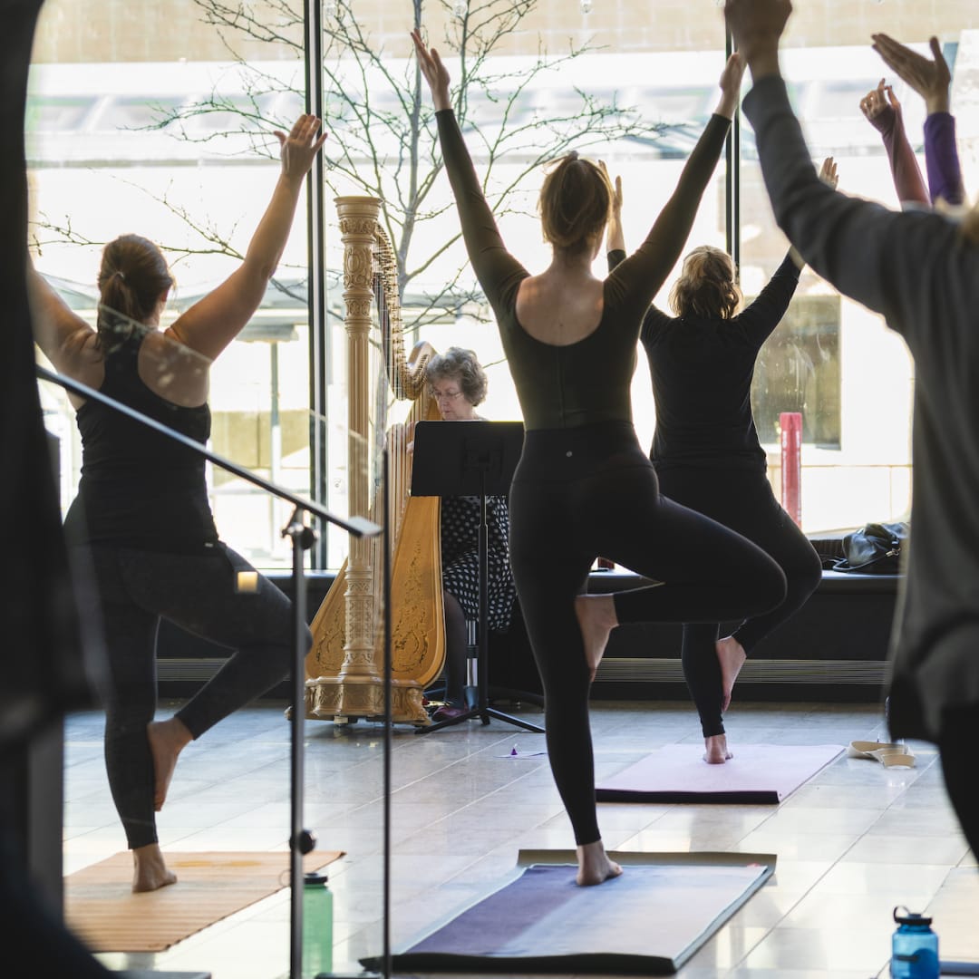 Wellness Minnesota Orchestra