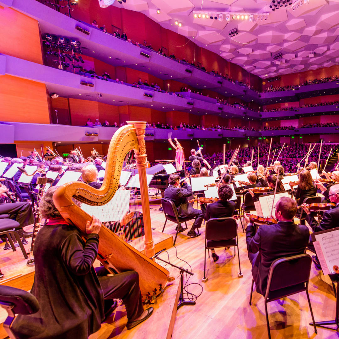 Other Offers and Promotions Minnesota Orchestra