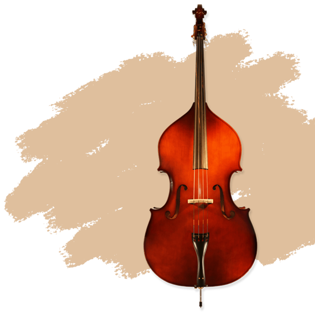 Bass orchestra outlet