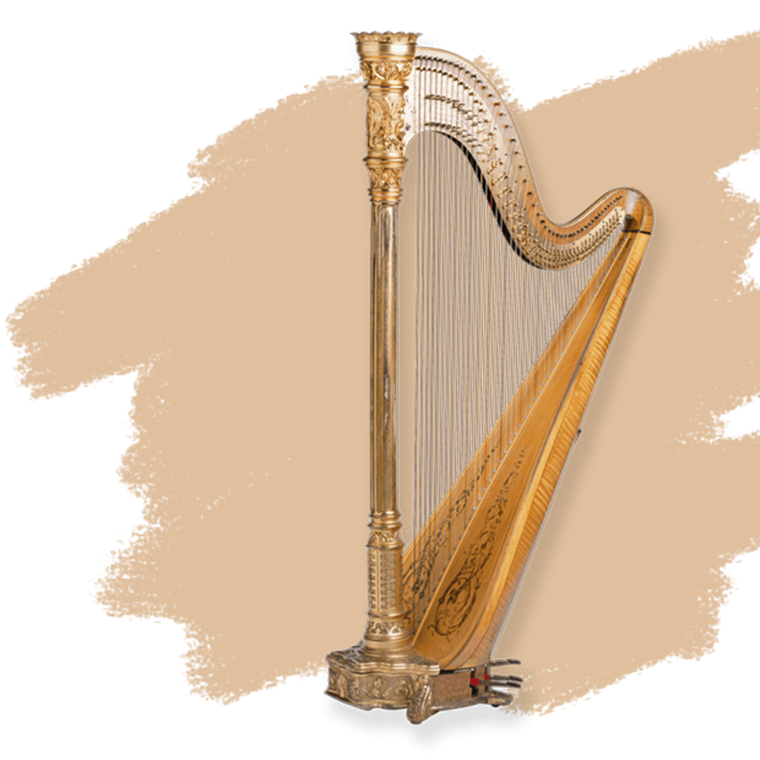 The harp 2025