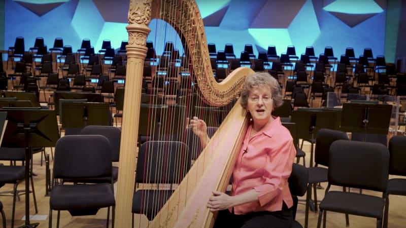 Harp instrument store