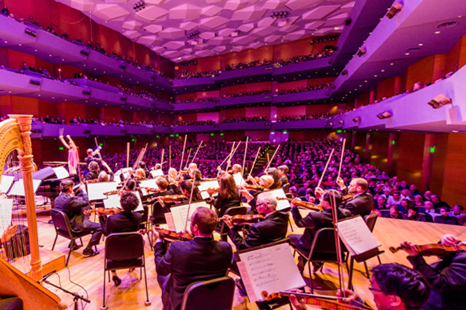 Audience members enjoying a concert