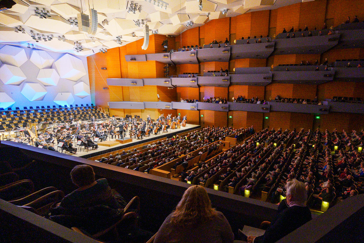 Auditorium with audience members during performance