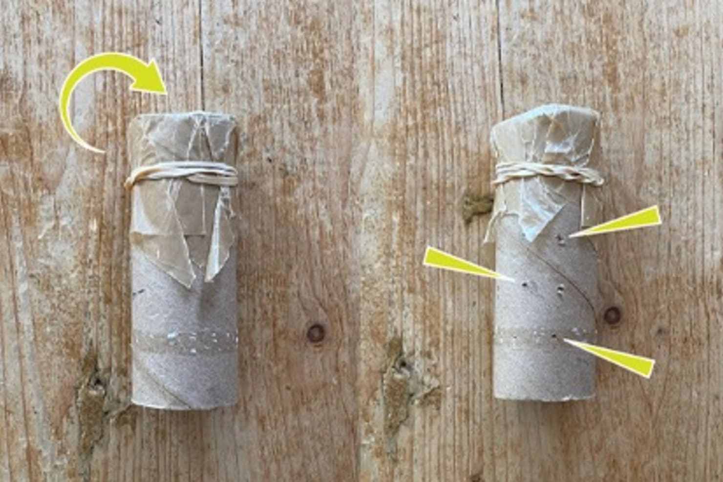 Cardboard tubes covered on one end with wax paper