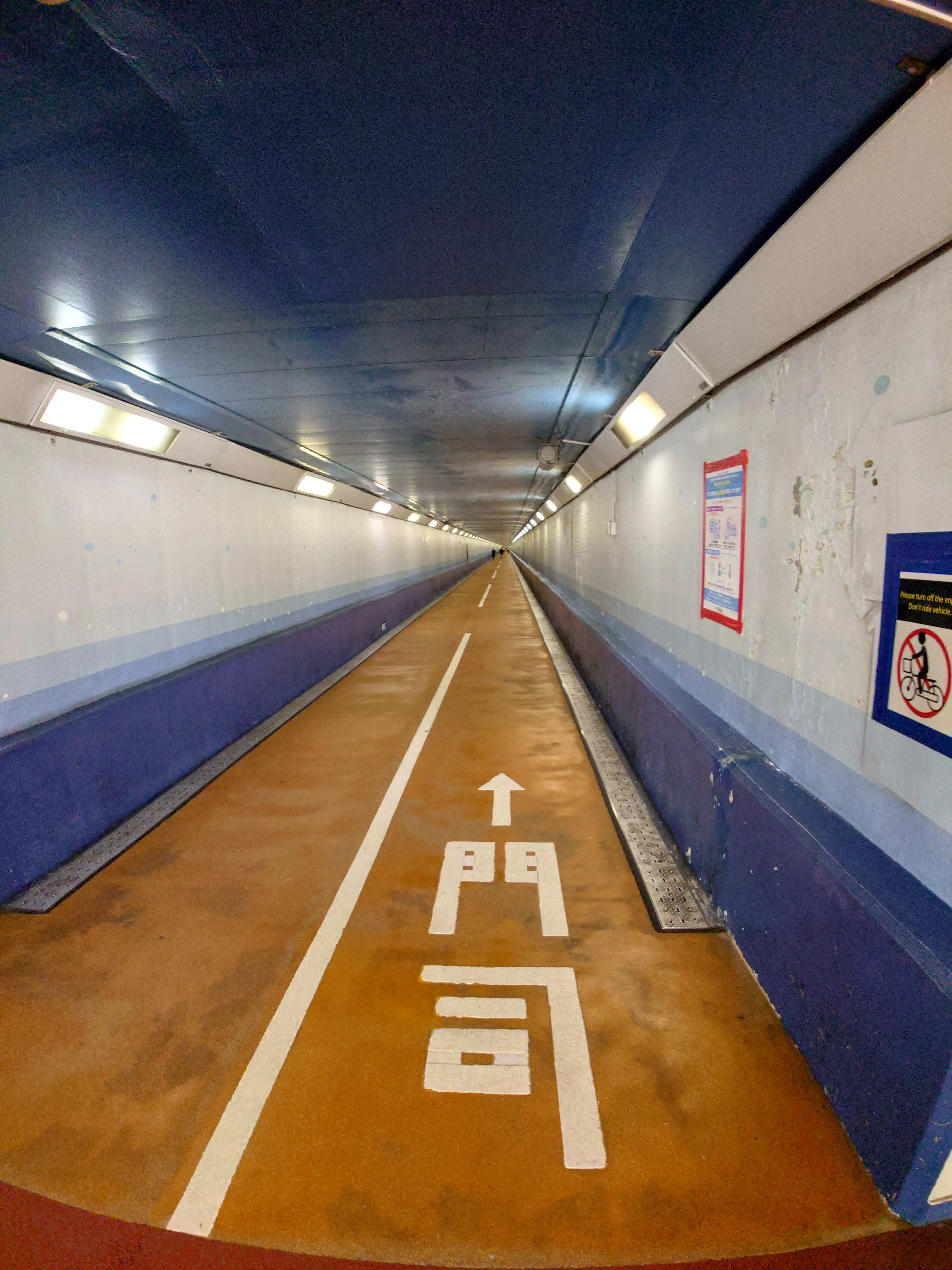 トンネルを眺める