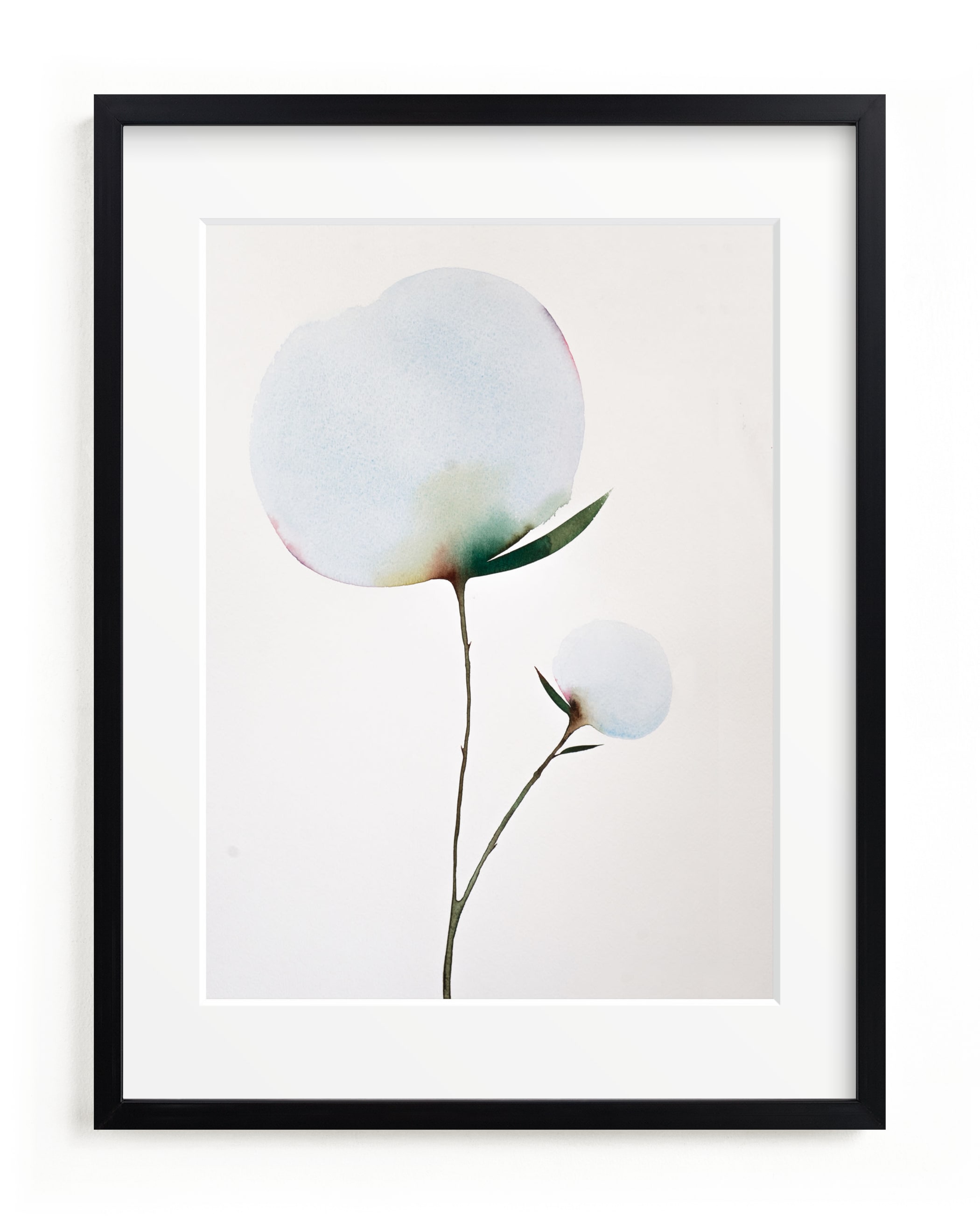 Paran Bloom 01 Art Print