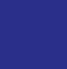 SPECIAL® VIOLET S4B-F 02 - 4129-84-4