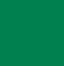 LEVANYL® GREEN G-LF 02 - 14832-14-5