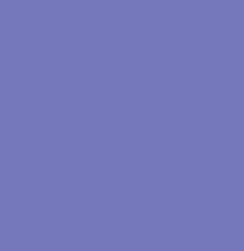 MACROLEX® VIOLET B - 81-48-1