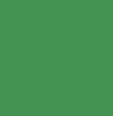 LEVANOX® GREEN G-LF - P0018