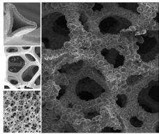 Alantum N10 Foam - 1200 µm (NiFeCrAl) - P4151