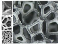 Pure Nickel Foam - 450 µm - 7440-02-0