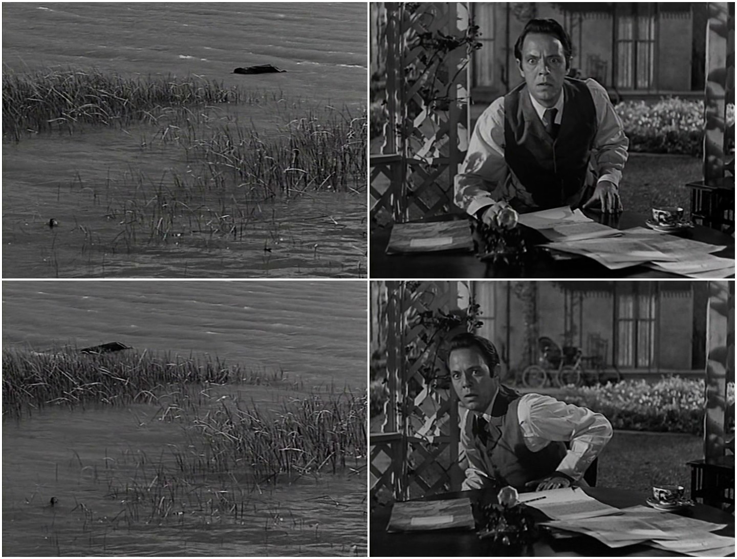 House by the River (1950)