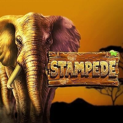 El logo de la slot Stampede