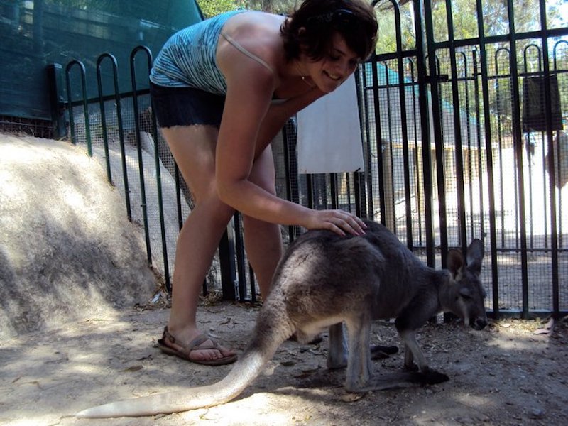 Me petting a Wallaby