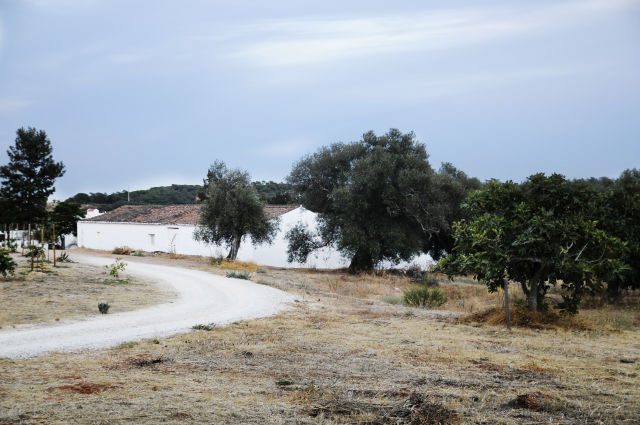 projects images of Companhia das Culturas