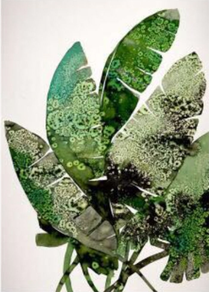 Image of Minh-khai Phan-thi