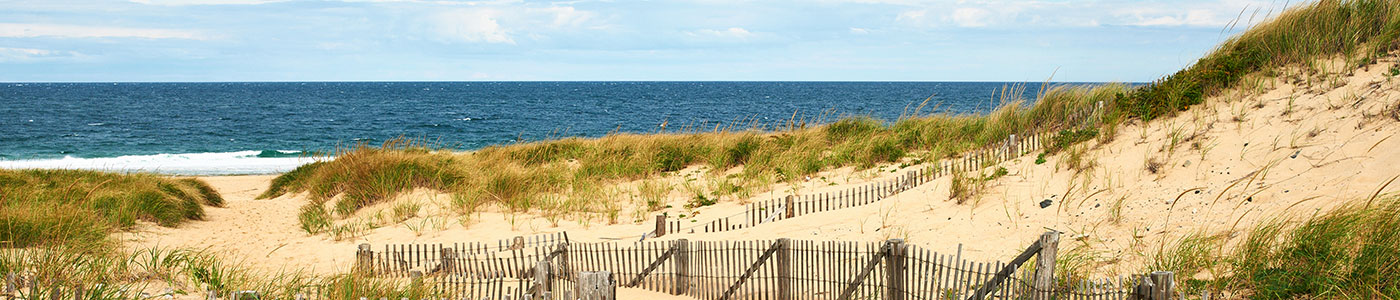 State Farm Insurance Agent Connie Doyle in Jacksonville FL