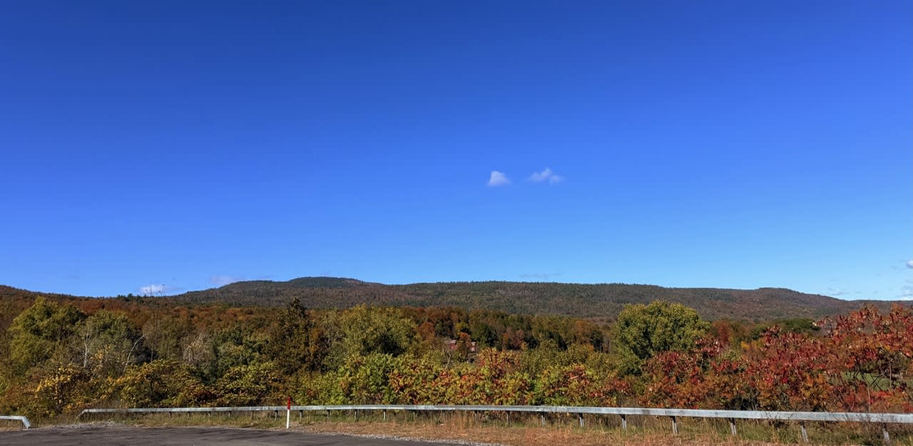 A panorama of trees in various fall colors