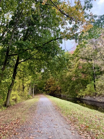 A cross-section of the Feeder Canal Heritage Trail