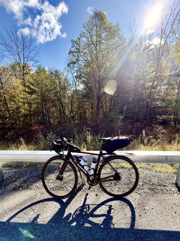 My bicycle positioned in front of some trees, somewhere along my journey