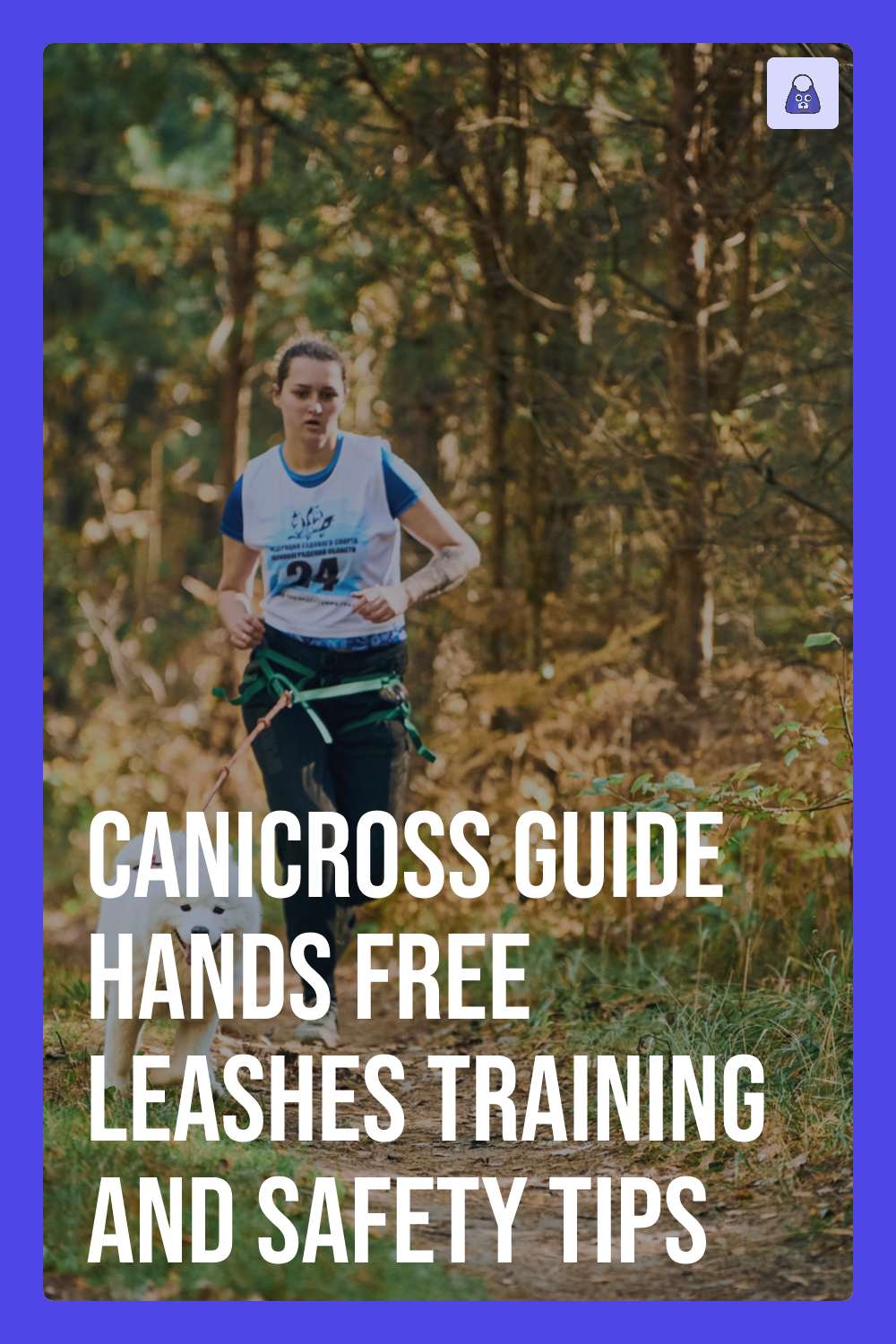 Canicross Guide Hands Free Leashes, Training, and Safety Tips