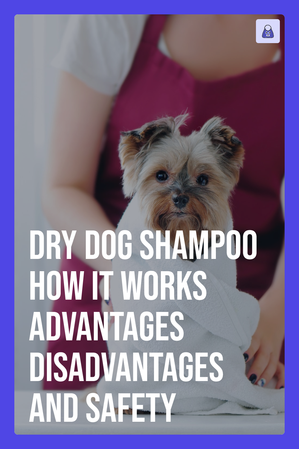 Dry Dog Shampoo How it Works, Advantages, Disadvantages and Safety