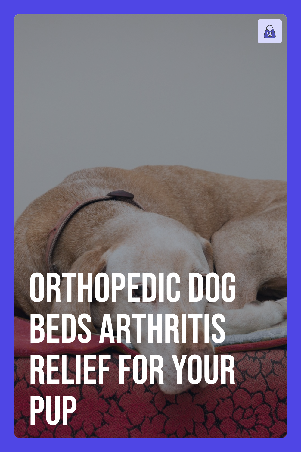 Orthopedic Dog Beds Arthritis Relief for Your Pup