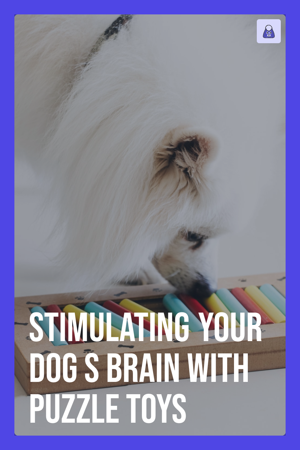 Stimulating Your Dog's Brain with Puzzle Toys