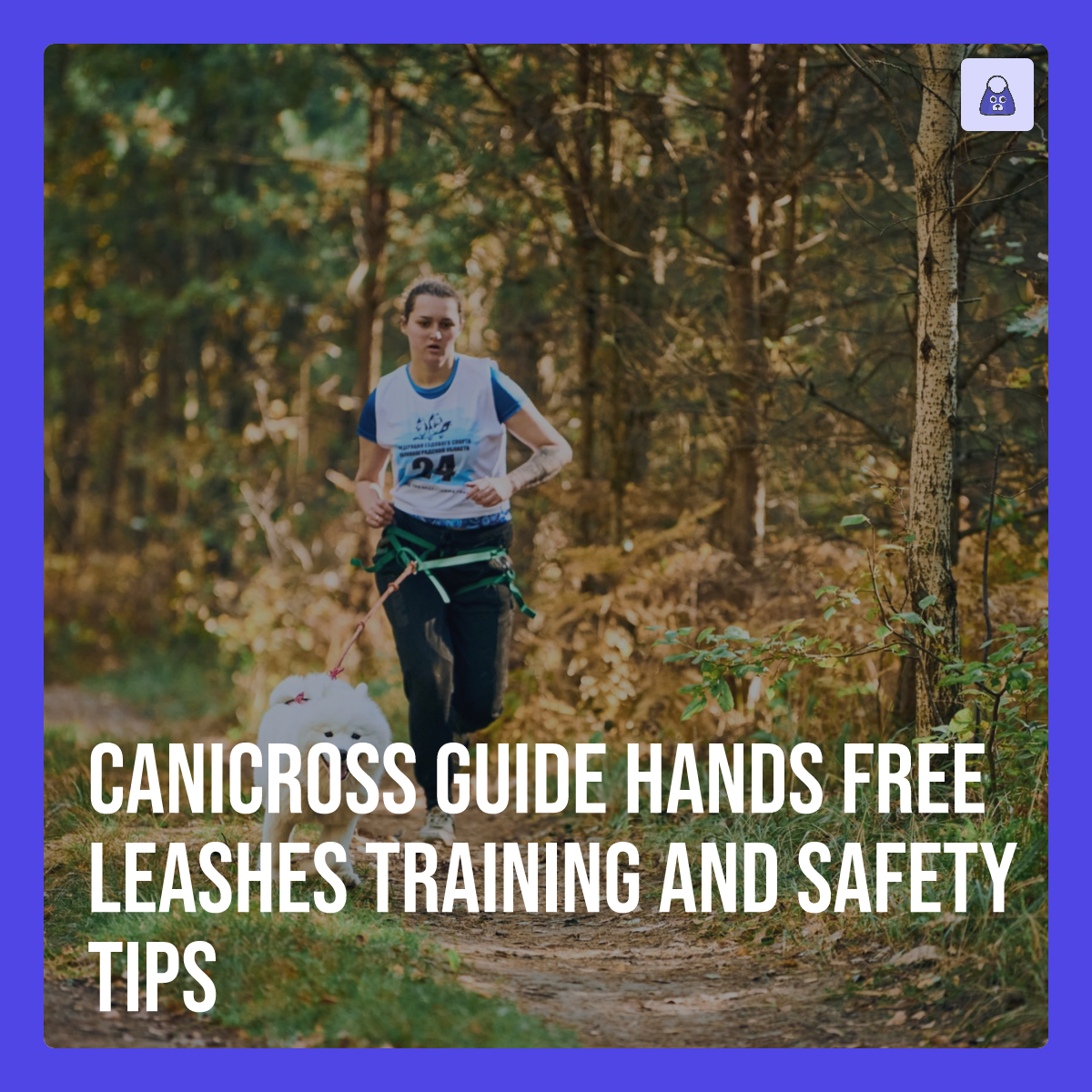 Canicross Guide Hands Free Leashes, Training, and Safety Tips