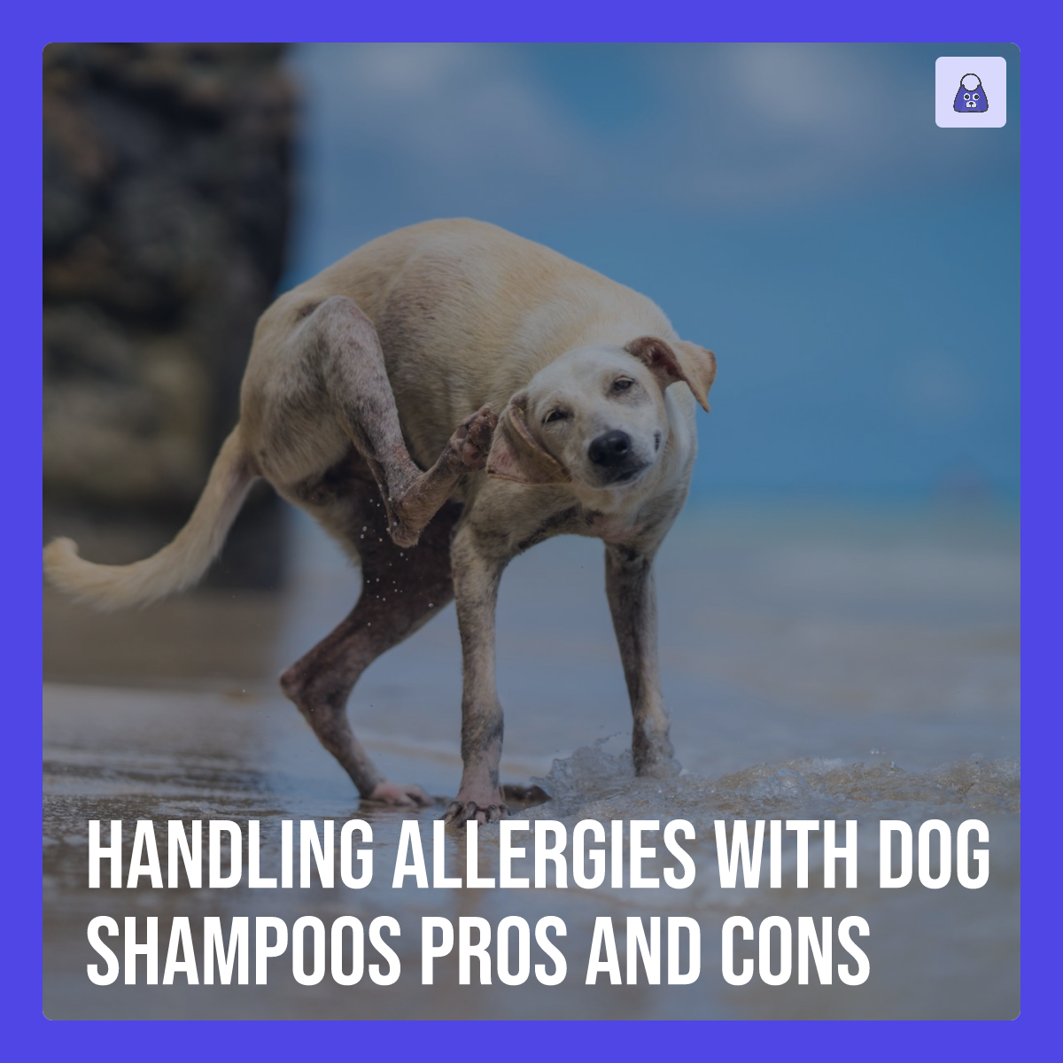 Handling Allergies with Dog Shampoos Pros and Cons
