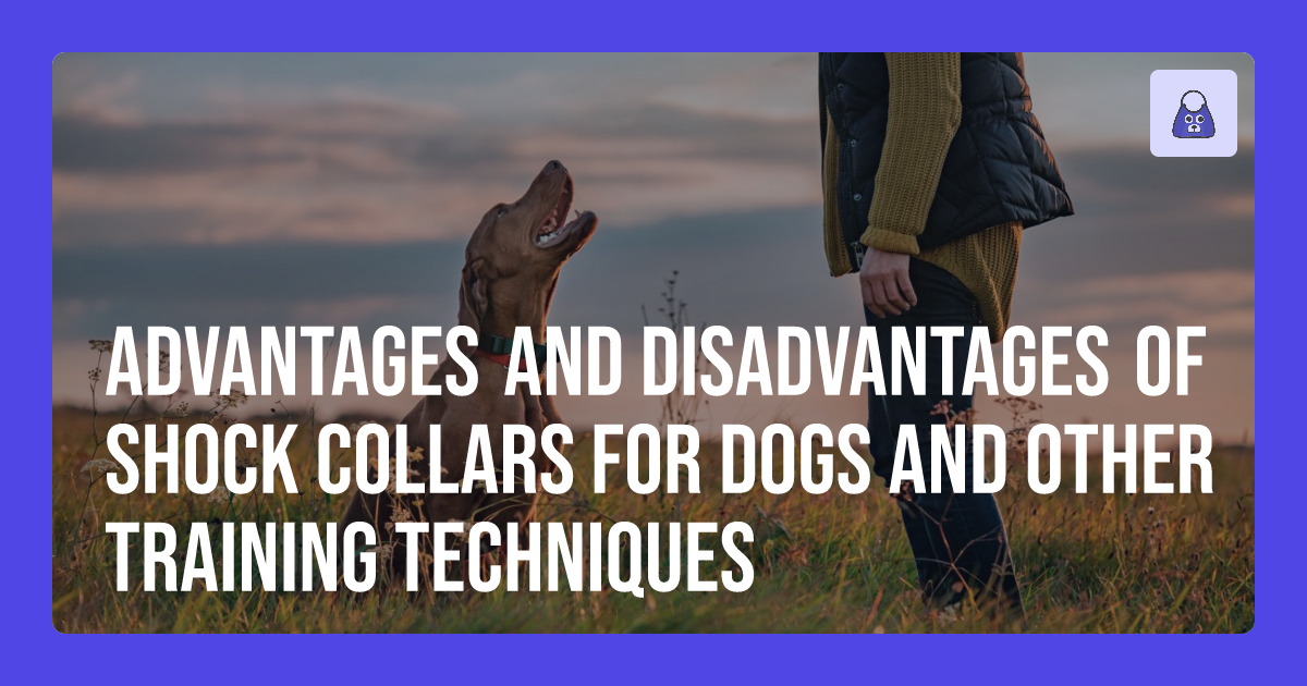 Advantages and Disadvantages of Shock Collars for Dogs and Other