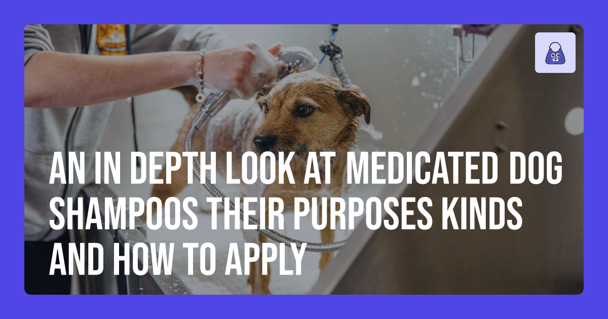 An InDepth Look at Medicated Dog Shampoos Their Purposes, Kinds, and How to Apply