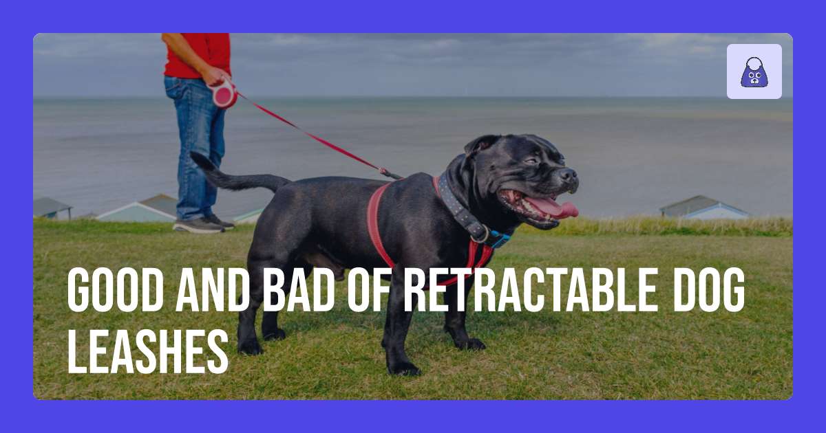 Good and Bad of Retractable Dog Leashes